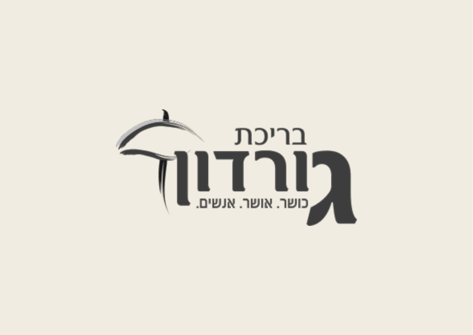 פיתוח אתרים